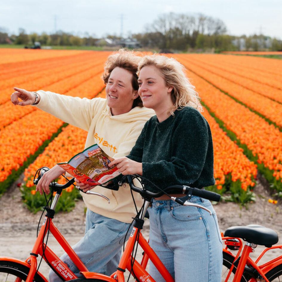 Oranje fietsen voor oranje bloemenveld bij Keukenhof