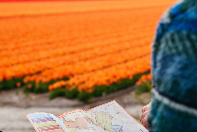 Routekaart en oranje bloemenveld