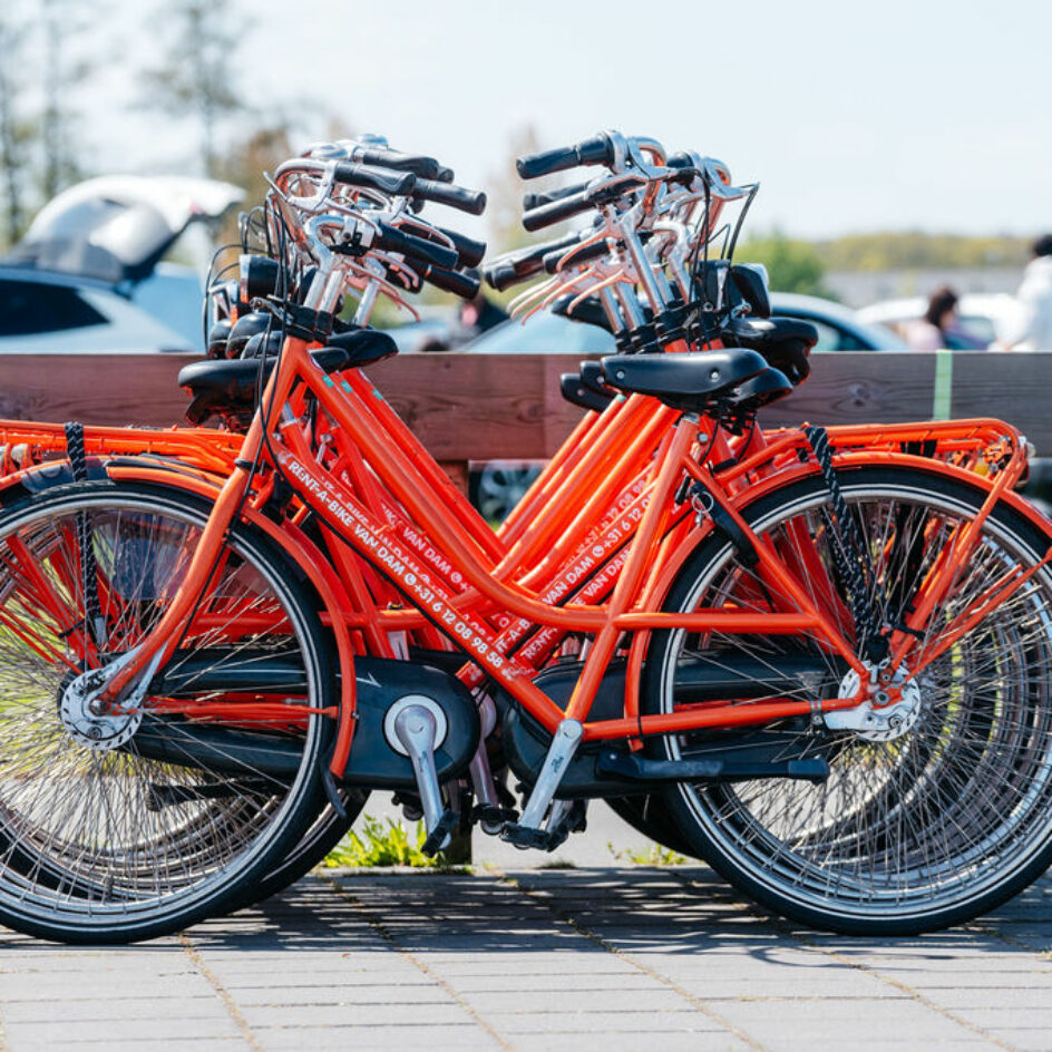 Orange bikes at Keukenhof
