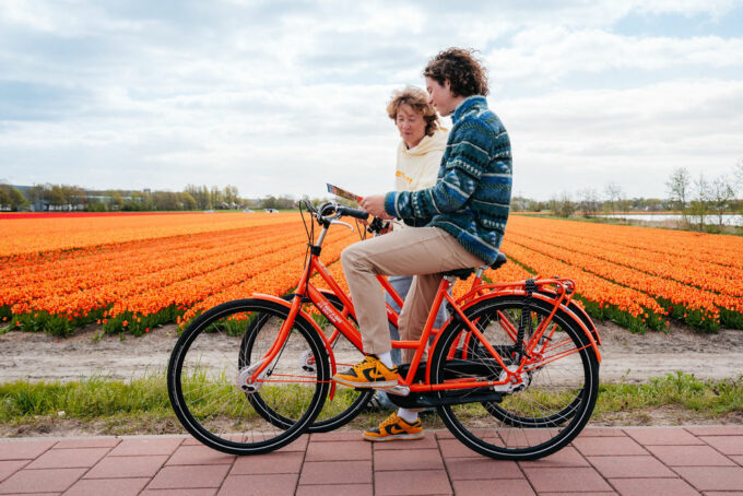 Tulpen_oranje_fiets